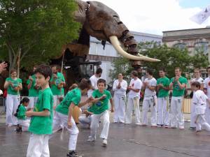 Demonstration Capoeira Fete Du Sourire (1)