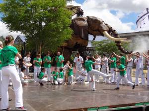 Demonstration Capoeira Fete Du Sourire (2)