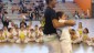 11eme festival capoeira nantes 2016 (36)
