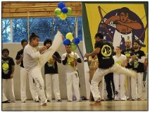 Cours Capoeira Adulte
